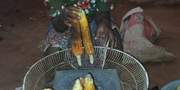 CONSOMMATION DU MAÏS FRAIS GRILLE, Une alimentation saisonnière à forte valeur nutritionnelle .Le Professeur Adébayo Alassani en parle
